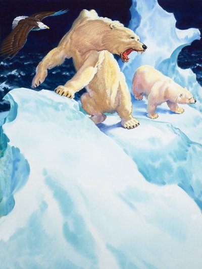 Polar bears and golden eagle by English School